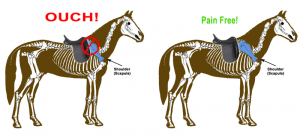 selle cheval