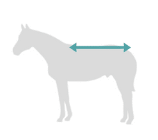 mesurer la taille de la tête du cheval