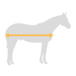 Couvertures & chemises Horseware