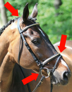 schéma filet cheval