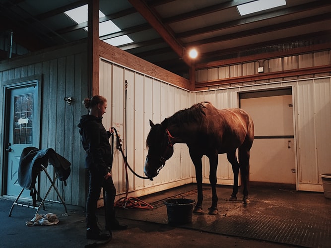 Salle de soin pour son cheval au sein de l'écurie.