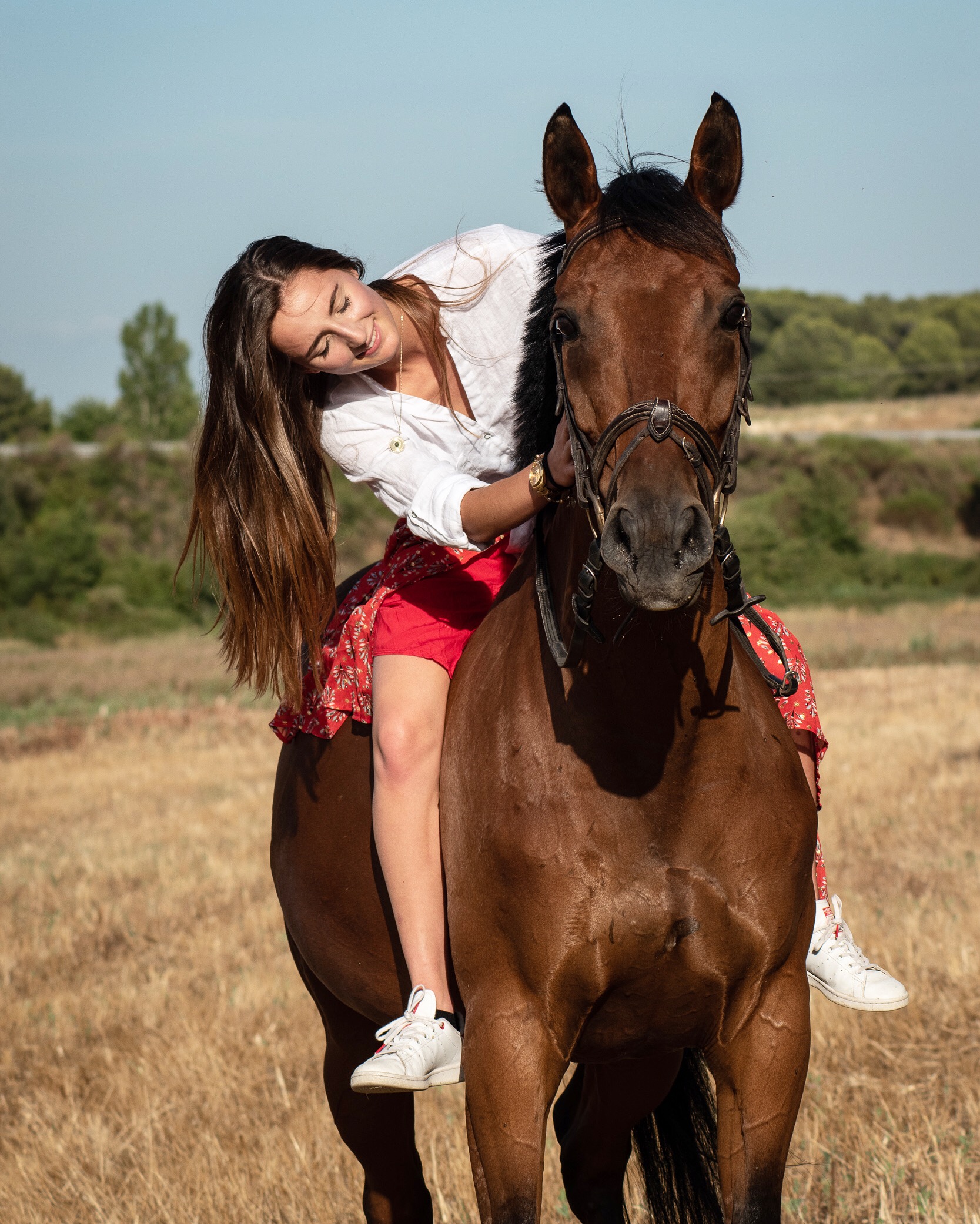 Bonbons cheval - Articles de fête - Maison  Divoza Horseworld - Passion  pour les chevaux