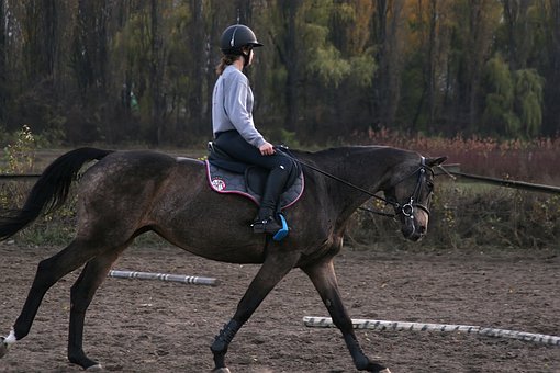Cheval qui s'appuie