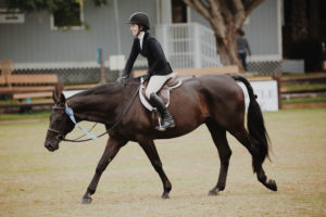comment choisir amortisseur equitation