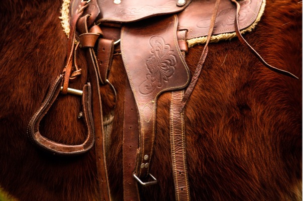DIY : baume réparateur pour les cuirs d’équitation ?